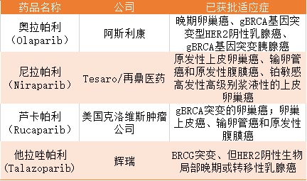 parp抑制劑迎來突破癌王的首個靶向藥終於來了