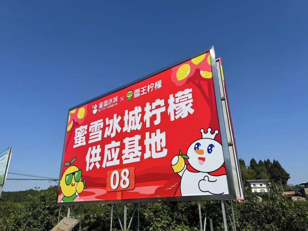 一个真实的蜜雪冰城，是怎样的？——_国际金融报社