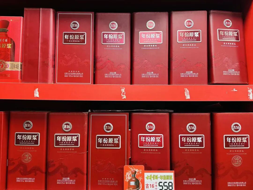 中国四川蘭　水晶紅素　7本立　花芽1 中国四川蘭 水晶紅素 7本立 花芽1 【公式通販】